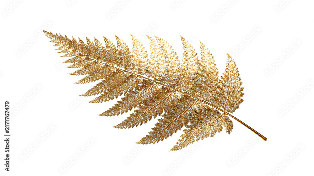 Obraz premium Golden fern leaf isolated on transparent background