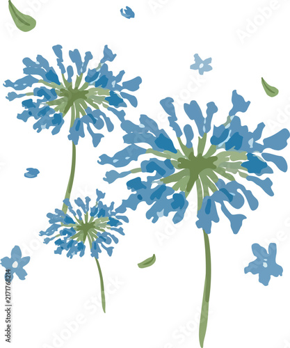Minimalist Flat Vector Illustration of Blue Agapanthus Blossom and Foliage