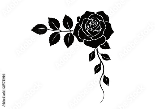 Elegant Black Rose Vector Illustration with Leaves and Petals