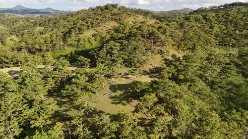 Aerial Drone Flight Over a Scenic Pine Hill and Lush Green Grassland in Da Lat, Vietnam, Bathed in Soft Warm Sunset Light, Creating a Peaceful Countryside Landscape
