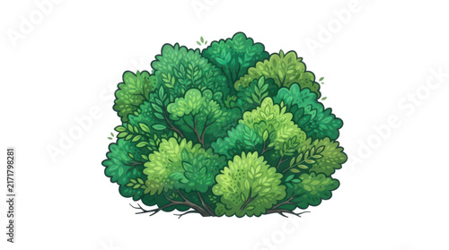 Small green bush plant isolated on white background isolated on transparent background