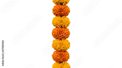 Marigold flower garland isolated on transparent background