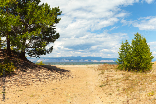 Baikal Lake in summer. Sandy shore of Olkhon Island. Scenic landscape with green larch trees on the sandy beach of the Small Sea on a sunny August day. Pribaikalsky Nature Park