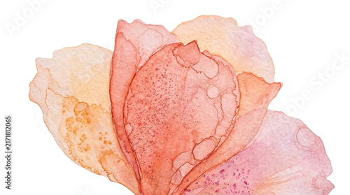 Vibrant Pink Orange Watercolor Petals Abstract