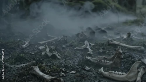 Cinematic 4K Seamless Loop Scattered Animal Bones and Skulls on Dark Damp Forest Ground with Creepy Rolling Fog