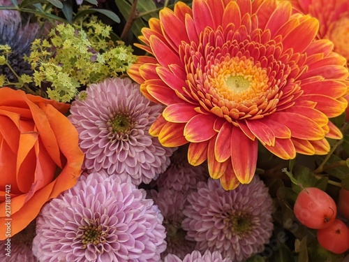 Vibrant autumn bouquet with orange gerbera daisy, pink chrysanthemums, orange rose and red hypericum berries close up