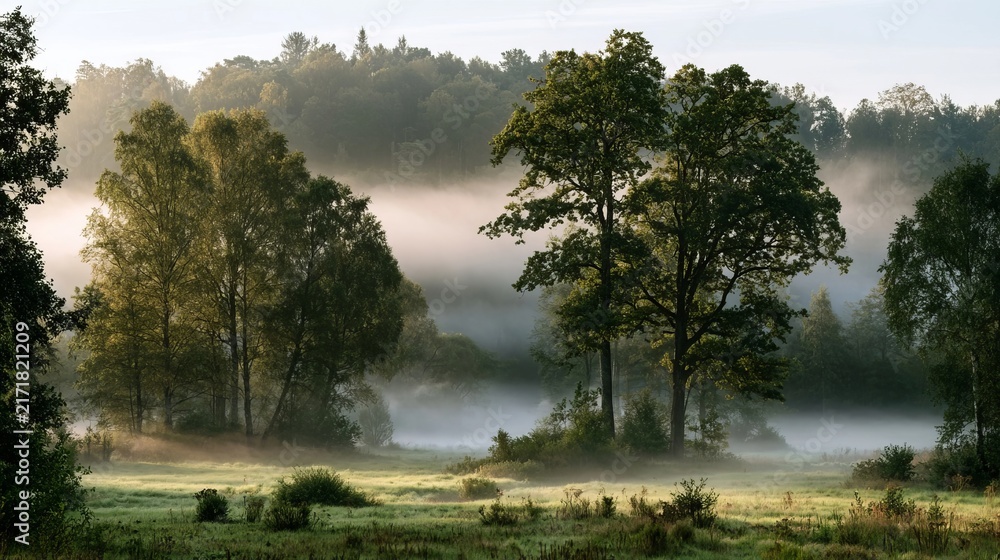 Fototapeta premium Picturesque early morning mist rolling over vibrant autumn meadows with calm ethereal tree scenery.