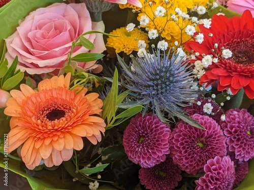 Vibrant flower bouquet with pink rose, orange and red gerberas, purple chrysanthemums and blue eryngium thistle close up