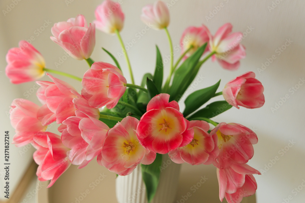 Obraz premium Tulips arranged in a vase with pink and white blooms captured in a bright indoor setting