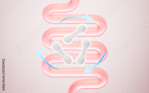 Naklejka Human intestinal system and probiotics, 3d rendering.