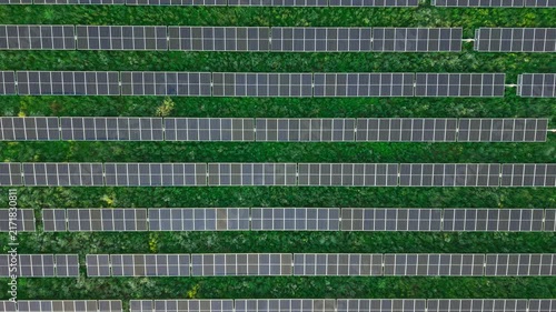 Horizontal Solar Bands Across Green Vegetation