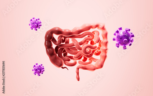 Принти на полотні Human intestines, enteritis, intestinal flora imbalance, etc
