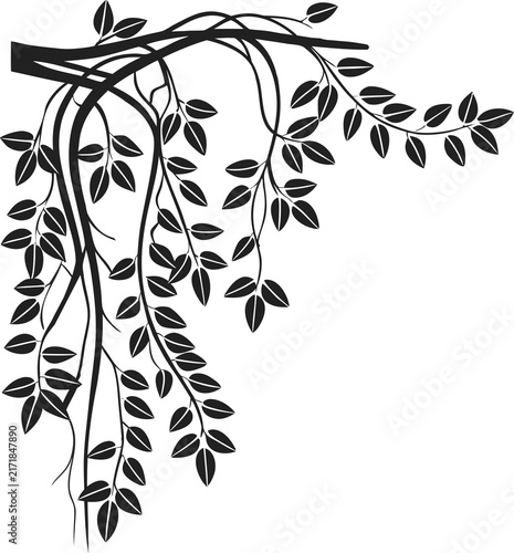 Black botanical vector clip art. Weeping vine branches with leaves. Elegant organic frame design for greeting cards, tattoo concepts, logos, invitations, and floral patterns.