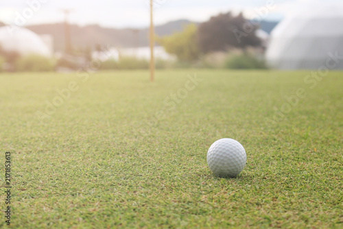 The golf ball is on a green lawn in a beautiful golf course