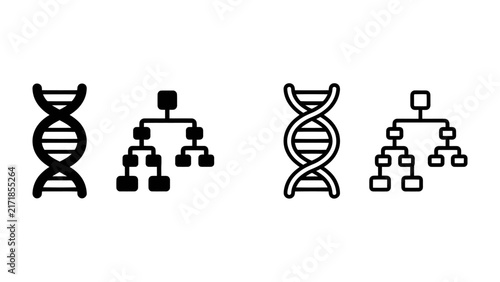 фотографія DNA Structure and Hierarchy: A visual representation of the double helix DNA structure alongside a hierarchical tree diagram, symbolizing genetic lineage and biological organization