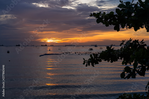 Seaside Serenity at Dusk: A breathtaking sunset casts a warm, golden glow over the calm ocean, with silhouettes of distant ships dotting the horizon and lush foliage framing the serene coastal view.