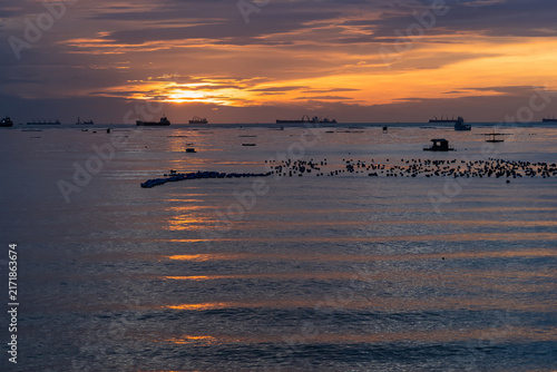 Sunrise Over the Horizon: A serene seascape unfolds at dawn, with the golden sun painting the sky in hues of orange and purple, reflecting on the calm water dotted with distant ships.