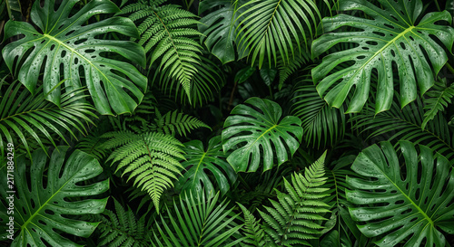 Nature background image