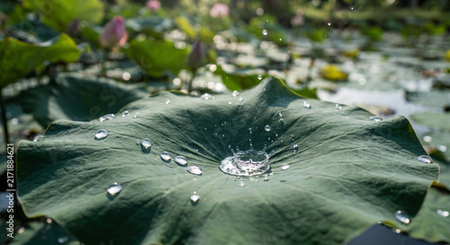 Background image of water droplets on a leaf.