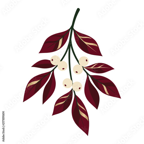 Christmas Day, Elegant mistletoe branch with burgundy leaves, festive winter botanical vector, holiday floral element for Christmas greeting cards isolated on White Background