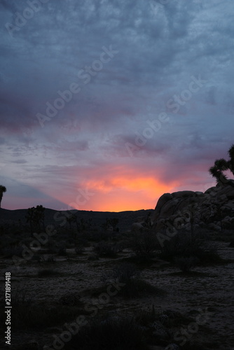 Deep dusk sky over silhouetted Joshua trees and granite boulders in Joshua Tree National Park, California