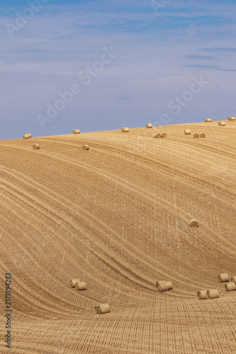 A farm landscape in the South Downs with hay bales on a hillside under a blue sky