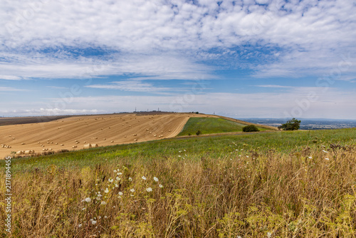 A view over farmland near Truleigh Hill in the South Downs, on a sunny summer's day