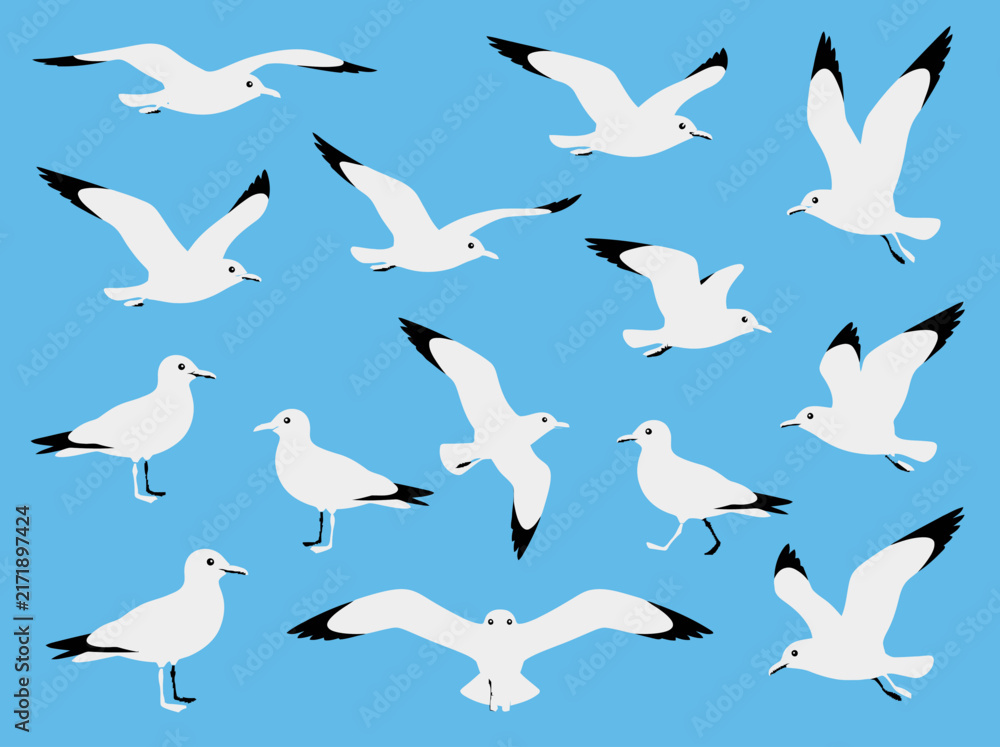 Obraz premium Flat Vector Illustration Set of Seagulls Flying and Standing