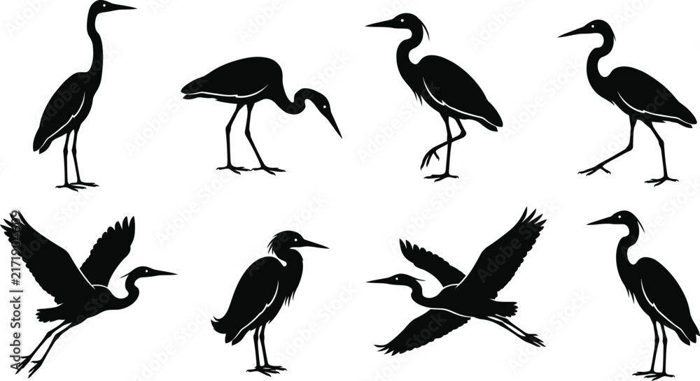 Naklejka premium Set of black silhouettes of herons and egrets in various standing and flying poses isolated on white