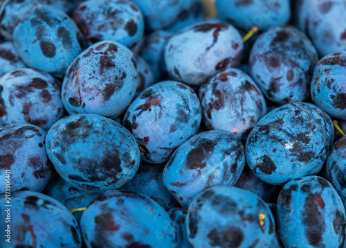 Fresh ripe blue organic plums background close up