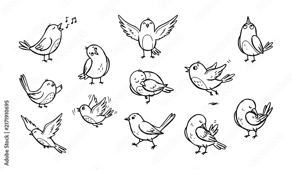 Obraz premium Hand Drawn Bird Sketch Doodle Collection Cute Black and White Vector Illustration
