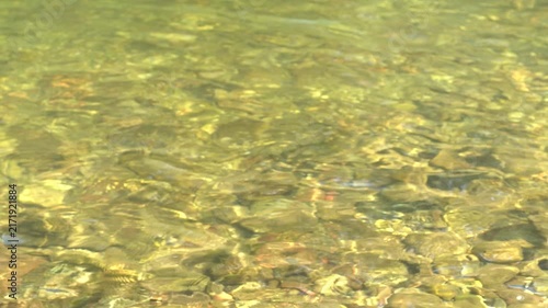 River water ripples making an abstract texture of water in motion, background