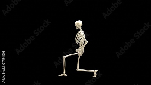 Medical 3D animation of forward lunge exercise featuring a 3D Skeletal System Model, captured in Lateral Side Profile View, Isolated Transparent Alpha Channel
