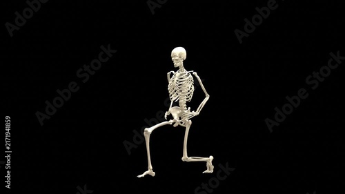 Medical 3D animation of forward lunge exercise featuring a 3D Skeletal System Model, captured in Three-Quarter Isometric Perspective, Isolated Transparent Alpha Channel