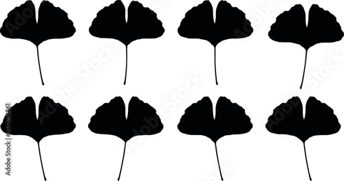 Ginkgo Biloba Leaves Vector Silhouette Icon Set with Autumn Fan Shaped Foliage