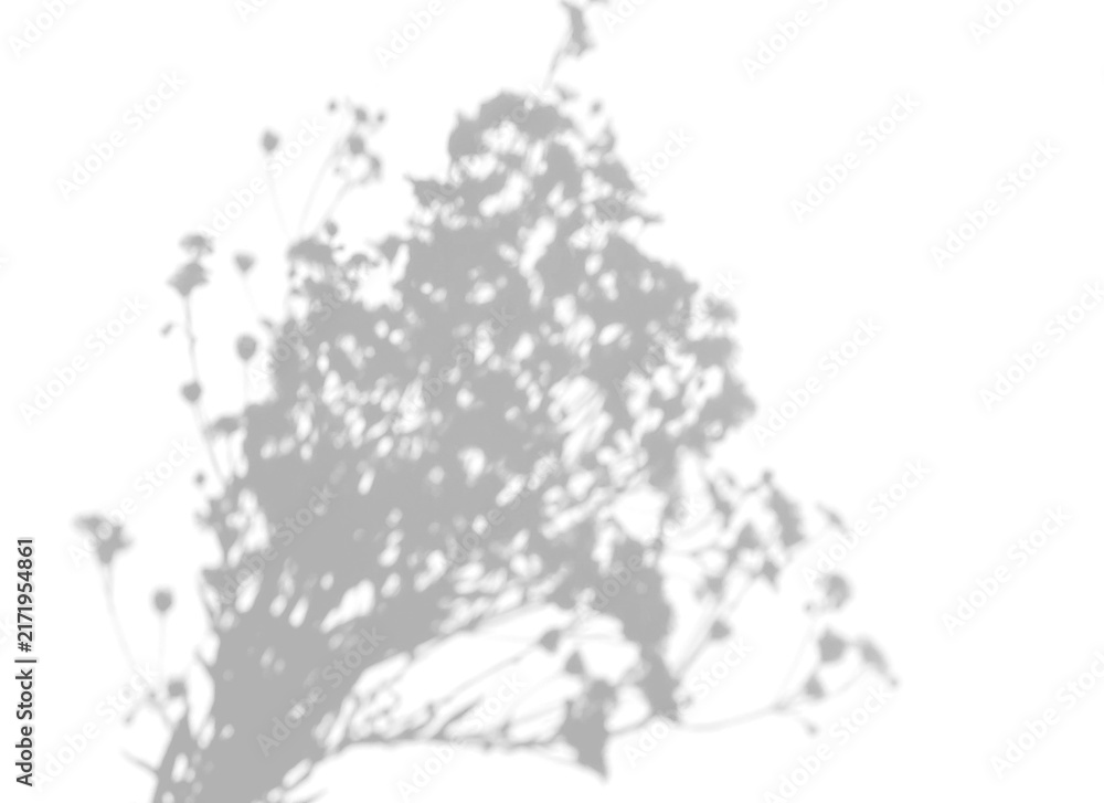 Obraz premium Dense Wildflower Bouquet Shadow Overlay on a transparent background