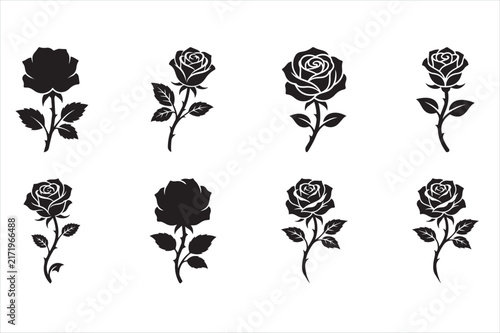 Obraz na plátne Black rose