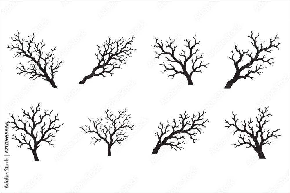 Fototapeta premium Dead branch