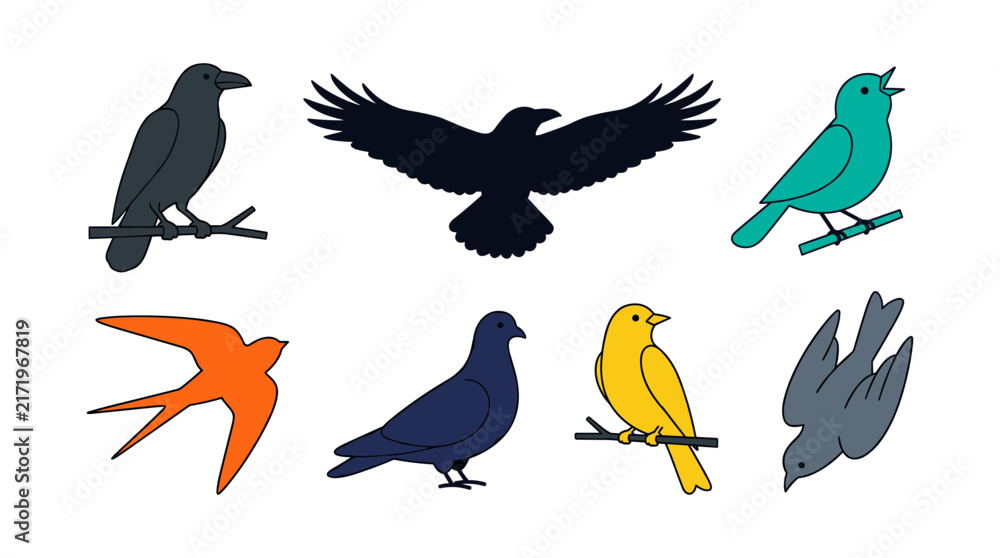 Obraz premium Birds Collection with Diverse Species, Perched and in Flight, Showcasing Vibrant Colors and Unique Silhouettes.