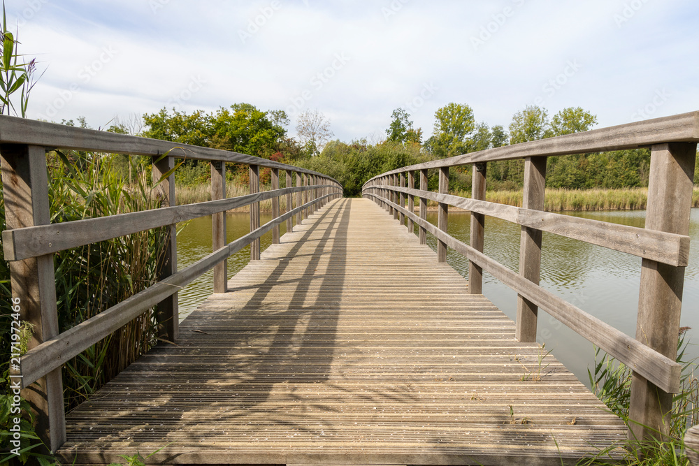 Fototapeta premium Perspective view of a wooden bridge in a nature area with water, landscape