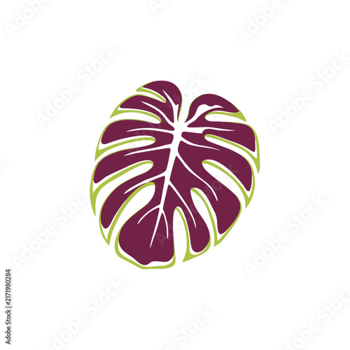 Monstera leaf isolated vector illustration
