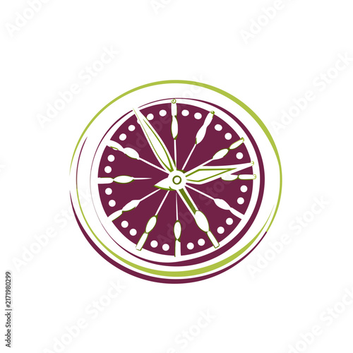 Citrus fruit slice isolated vector illustration