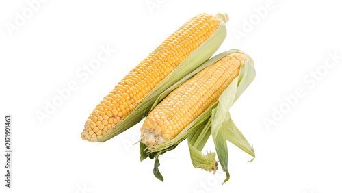 Bild auf Leinwand Fresh ripe yellow sweet corn cob with green husks isolated on transparent backgr