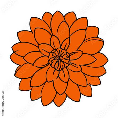 Orange Dahlia Flower Flat Vector Illustration