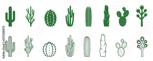 Cactus plant species collection in flat and outline style vector illustration for desert landscape.