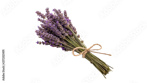 Foto Tied bunch bouquet of fresh lavender flowers botanical flora isolated on transpa