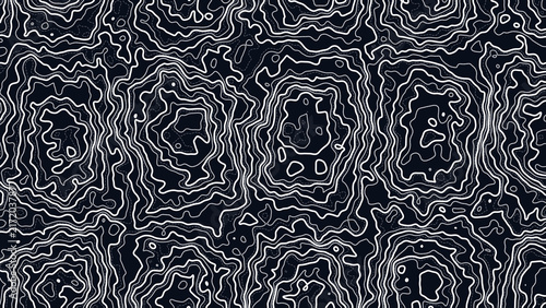 Sophisticated Monochrome Landscape Wireframe Graphic