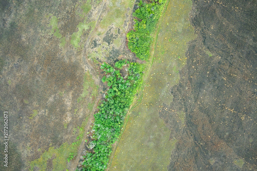 Fotografie Winding green tree stripe and eroded soil terrain, abstract environmental land d