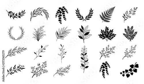Black and white botanical leafy branch ornaments elegant vector illustration set