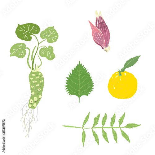 Assorted Fresh Japanese Herbs with Wasabi Leaf and Yuzu